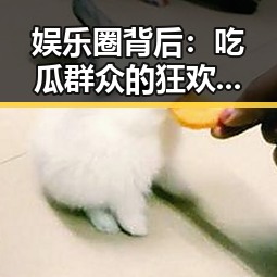 娱乐圈背后:吃瓜群众的狂欢与现实解读