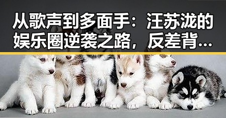 从歌声到多面手:汪苏泷的娱乐圈逆袭之路,反差背后隐藏的秘密